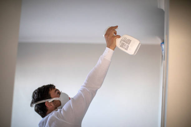  Columbia, KY Mold Removal Pros