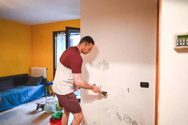 Best Mold Testing and Inspection Services in Columbia, KY